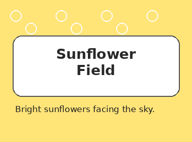 Bright sunflowers facing the sky.