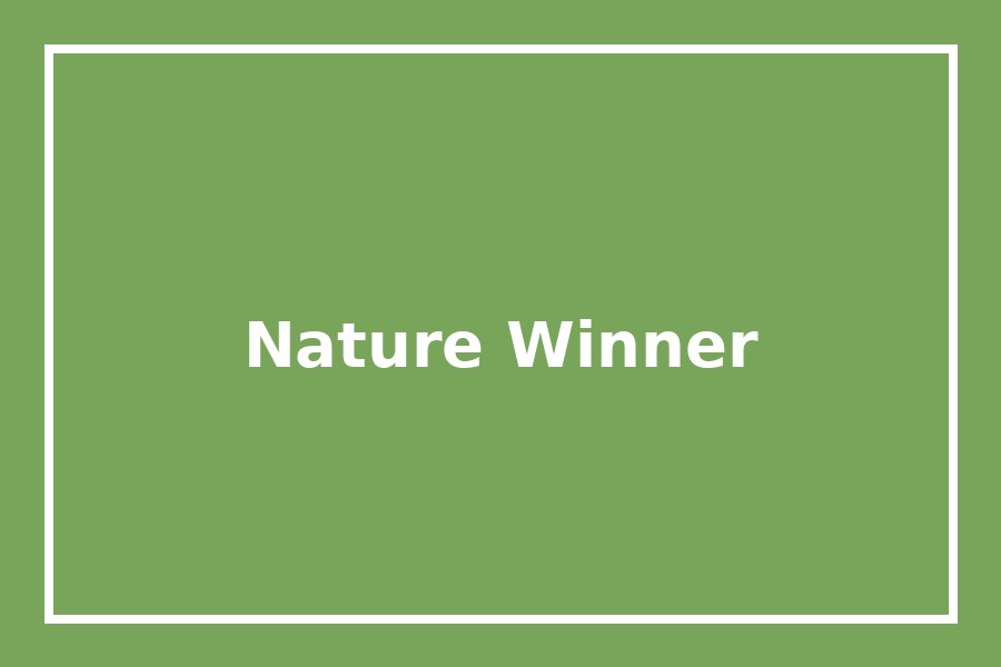 Past nature category winner Past winning nature photograph with green background